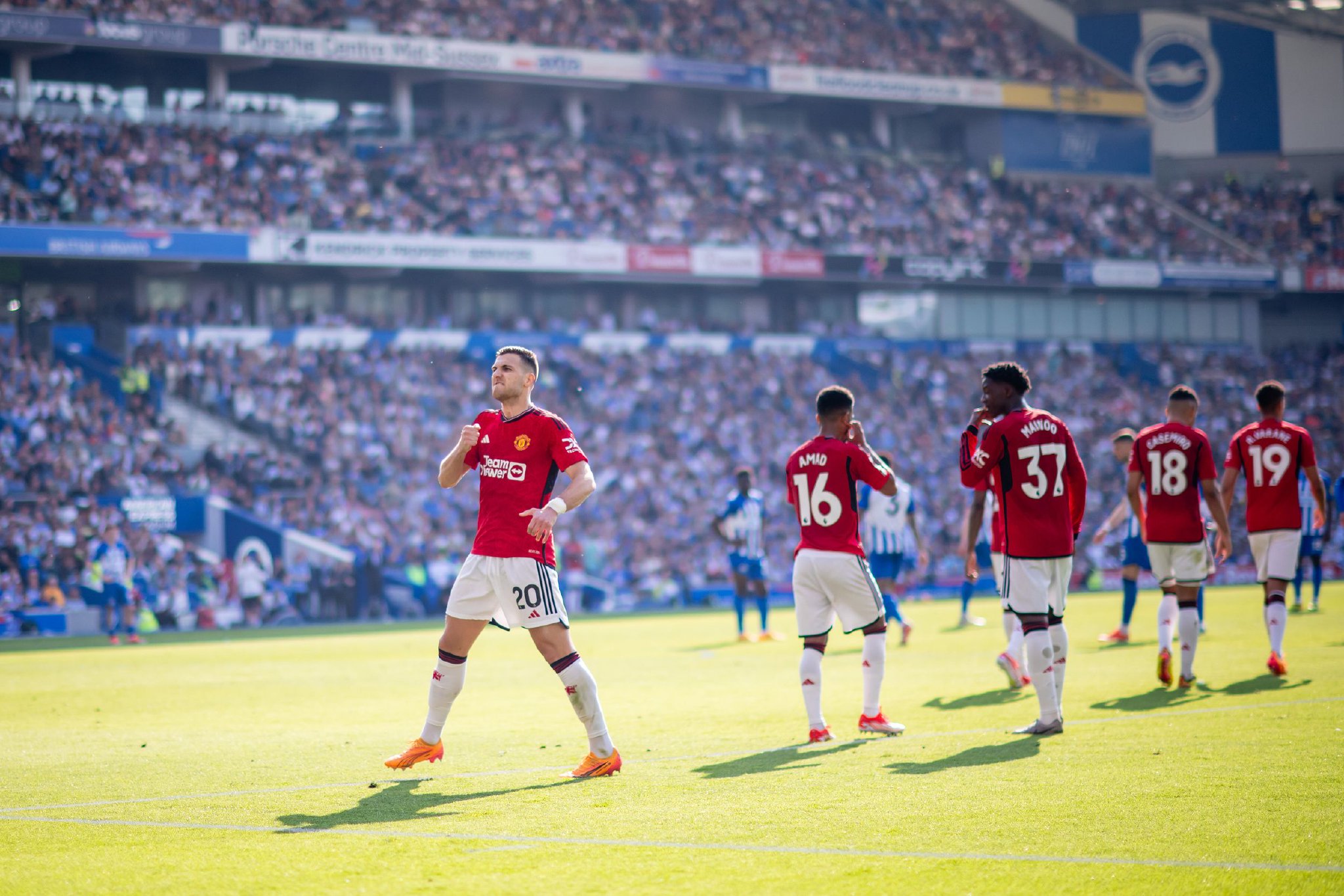 迪的告别 迪的告别